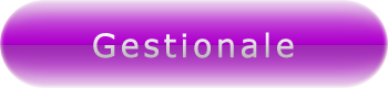 Software Gestionale